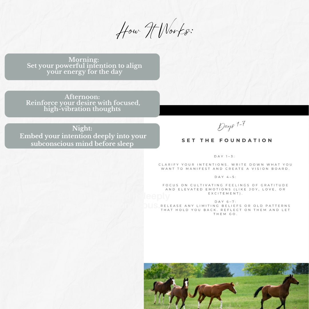 Align + Attract-99-Day Manifestation Planner – Editable Digital Journal (Canva Template)