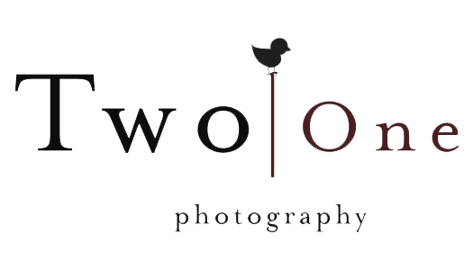 Two One Collective Shop